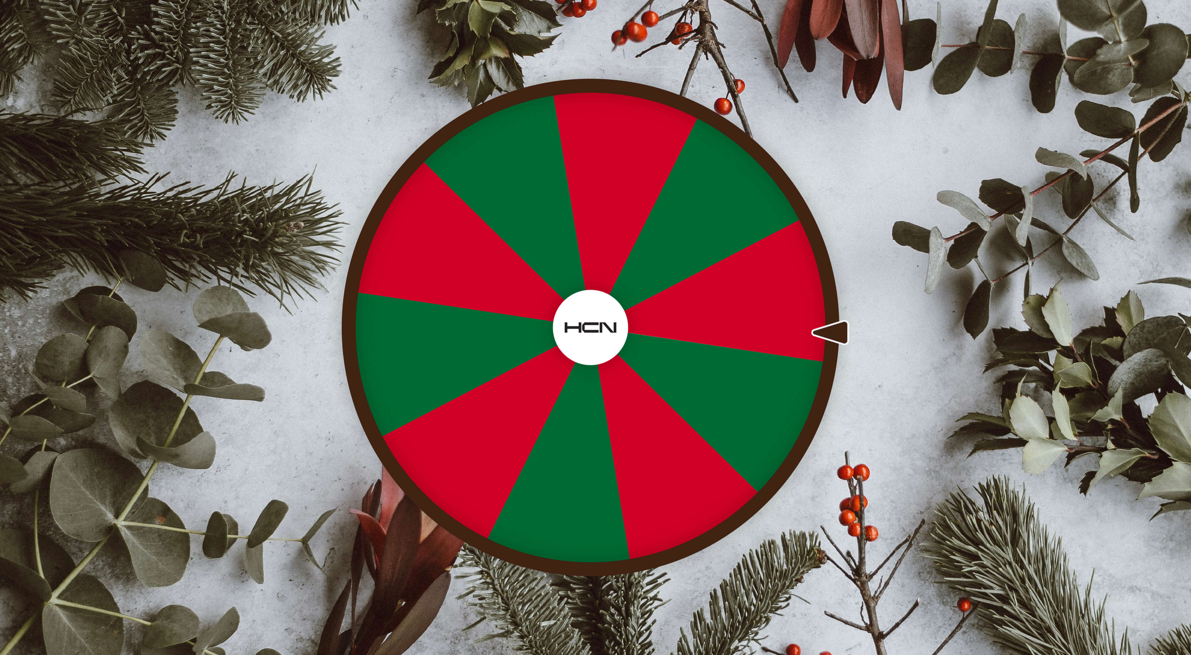 HCN-Christmas Spin & Win.